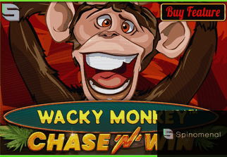 Wacky Monkey ChaseNWin